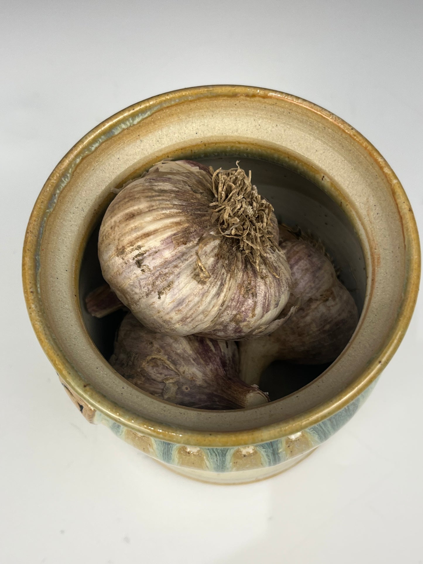 Garlic Pot #43
